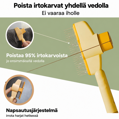 Kissan karvanpoistoharja