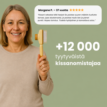 Kissan karvanpoistoharja