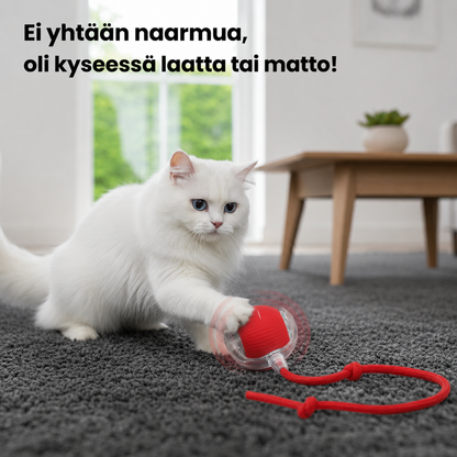 Interaktiivinen kissanpallo