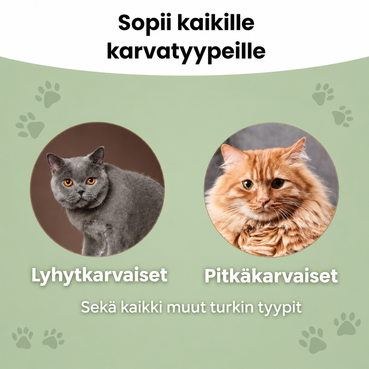 Kissan karvanpoistoharja