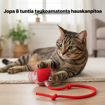 Interaktiivinen kissanpallo
